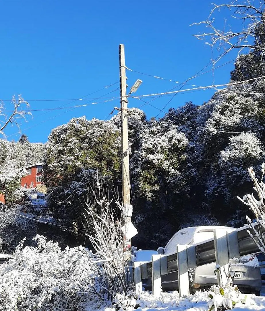 Sejal Homestay Shimla 0*,