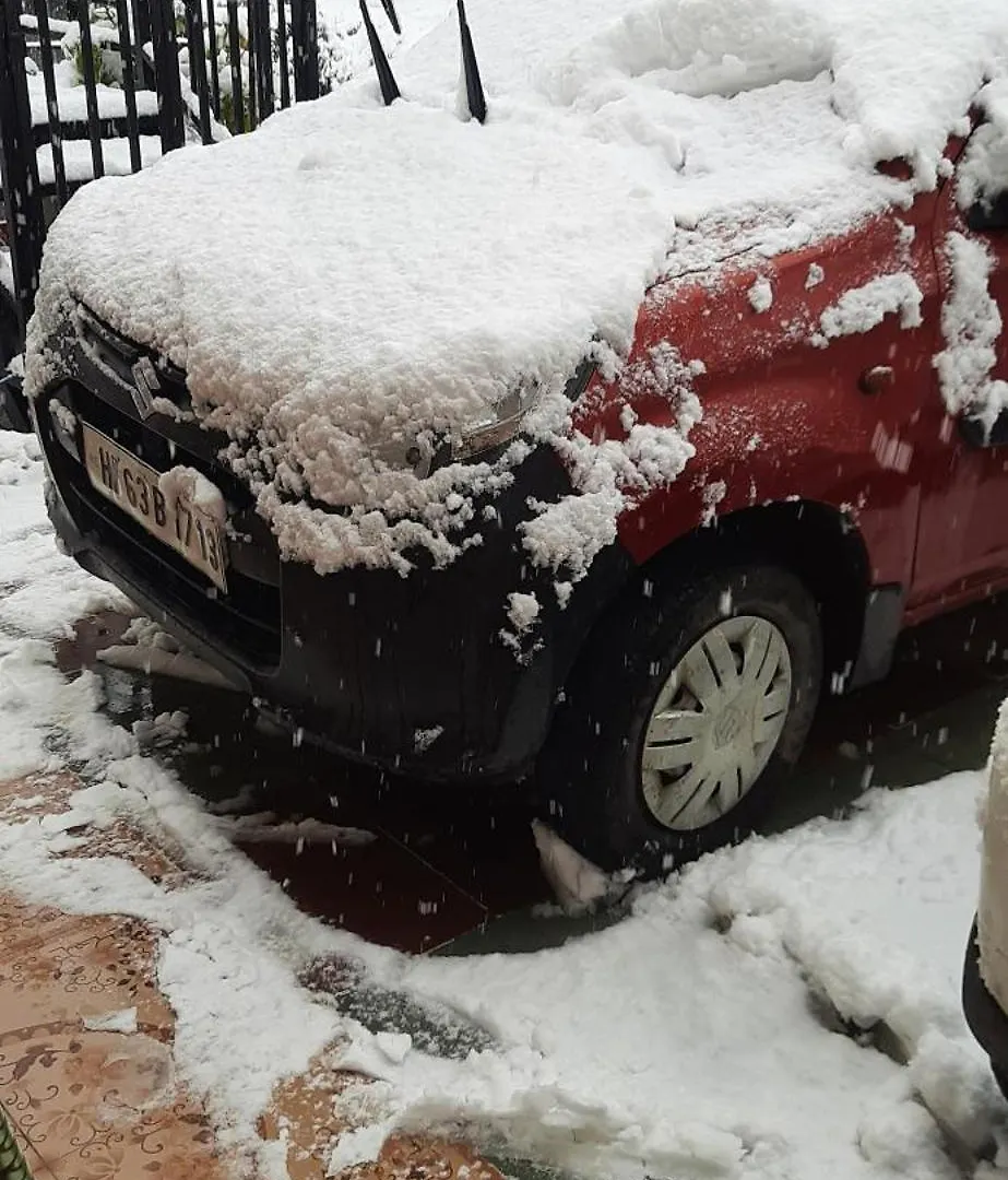 Sejal Homestay Shimla