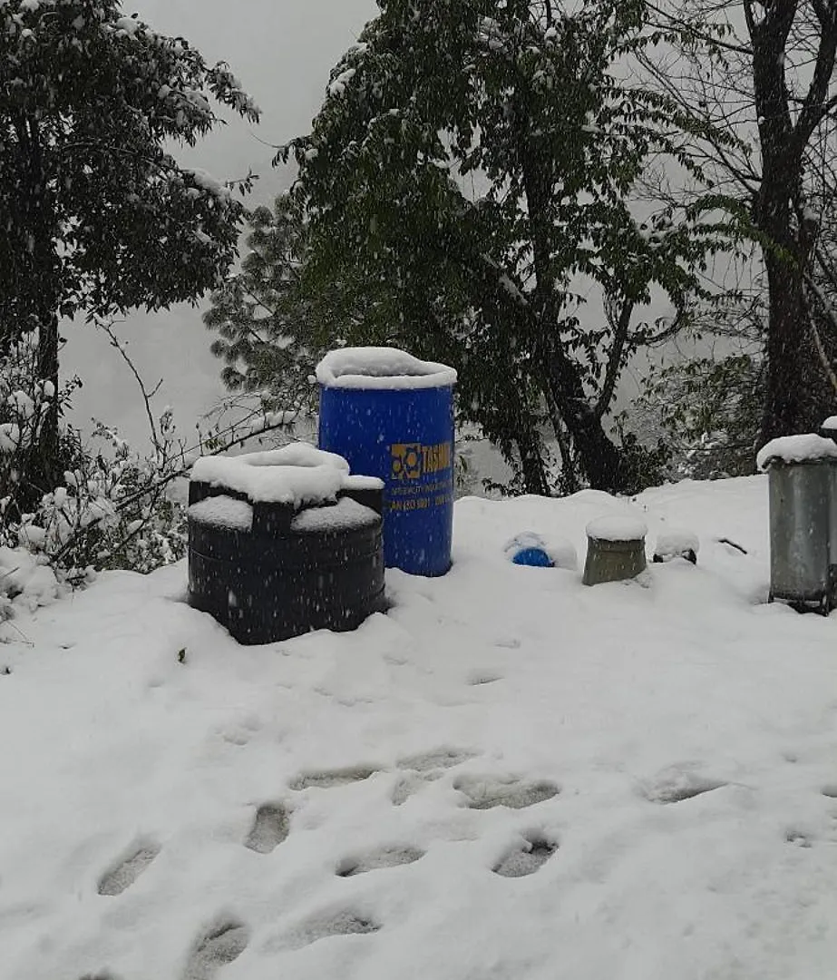 Sejal Homestay Shimla