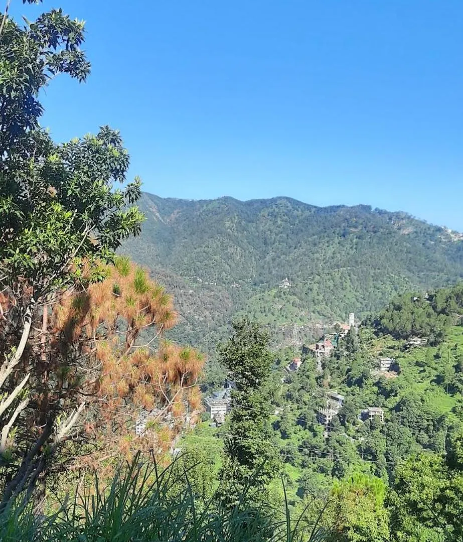 Sejal Homestay Shimla