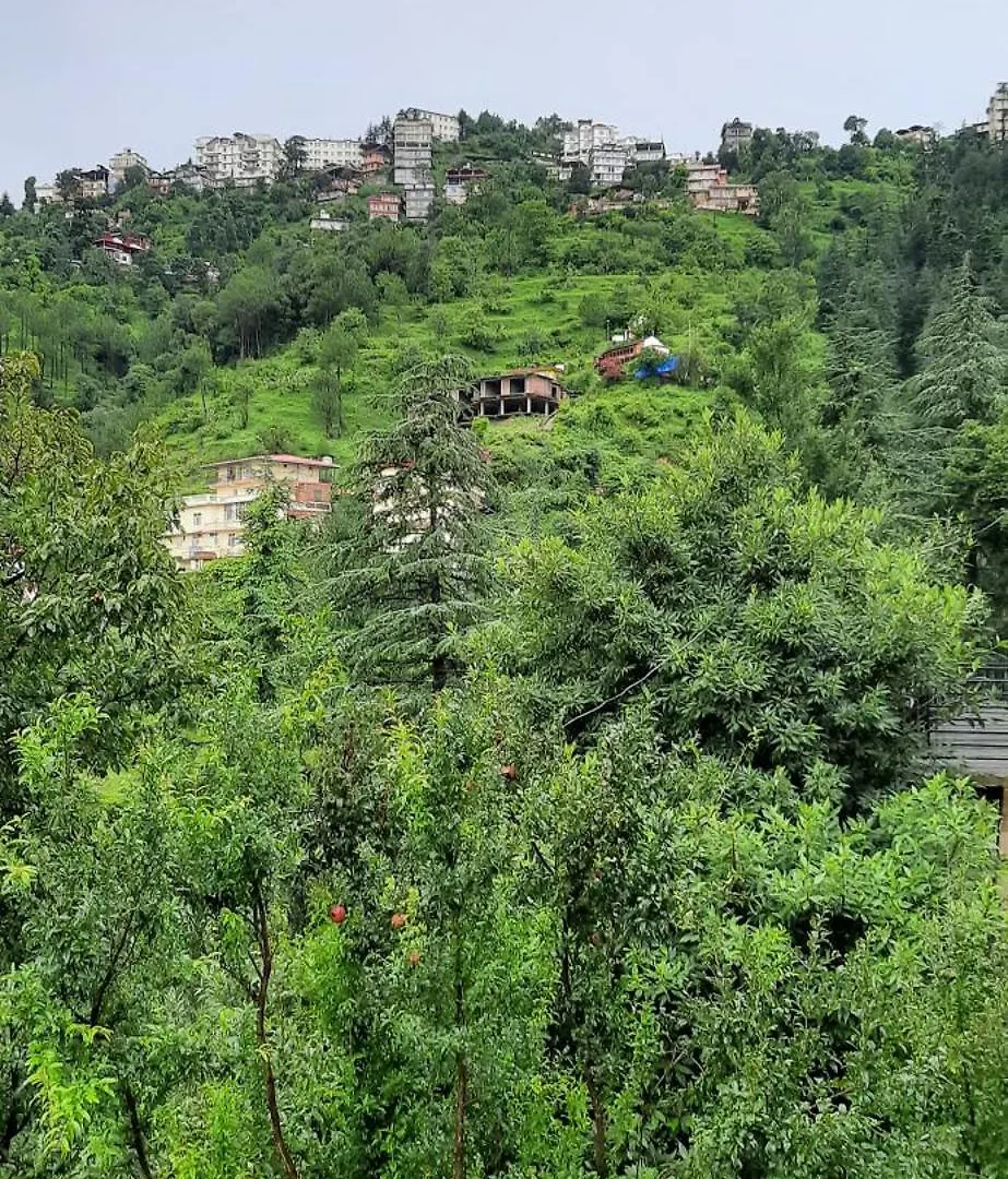 Sejal Homestay Shimla 0*,