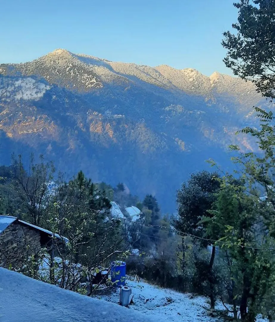 Sejal Homestay Shimla