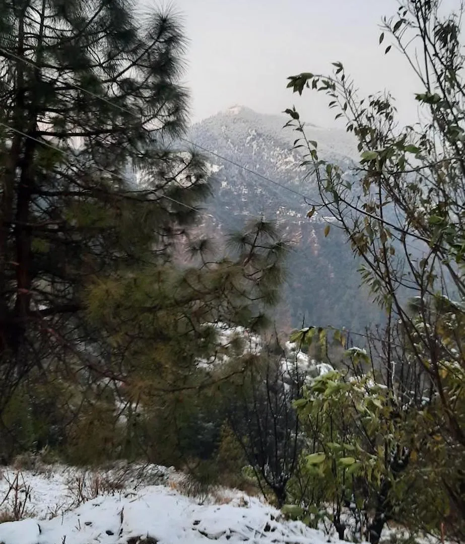 Sejal Homestay Shimla