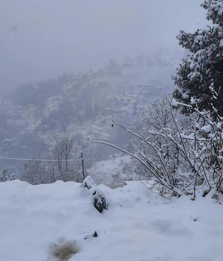 Sejal Homestay Shimla