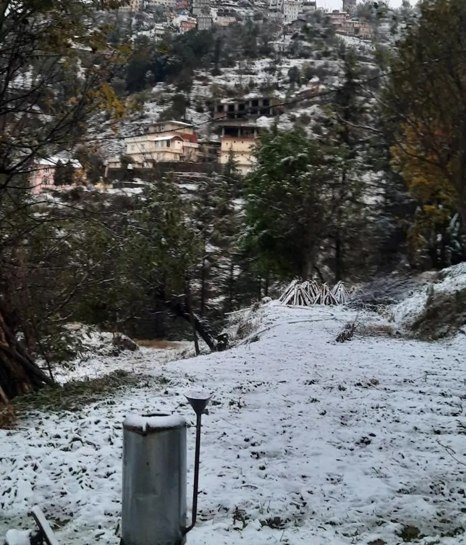 Sejal Homestay Shimla