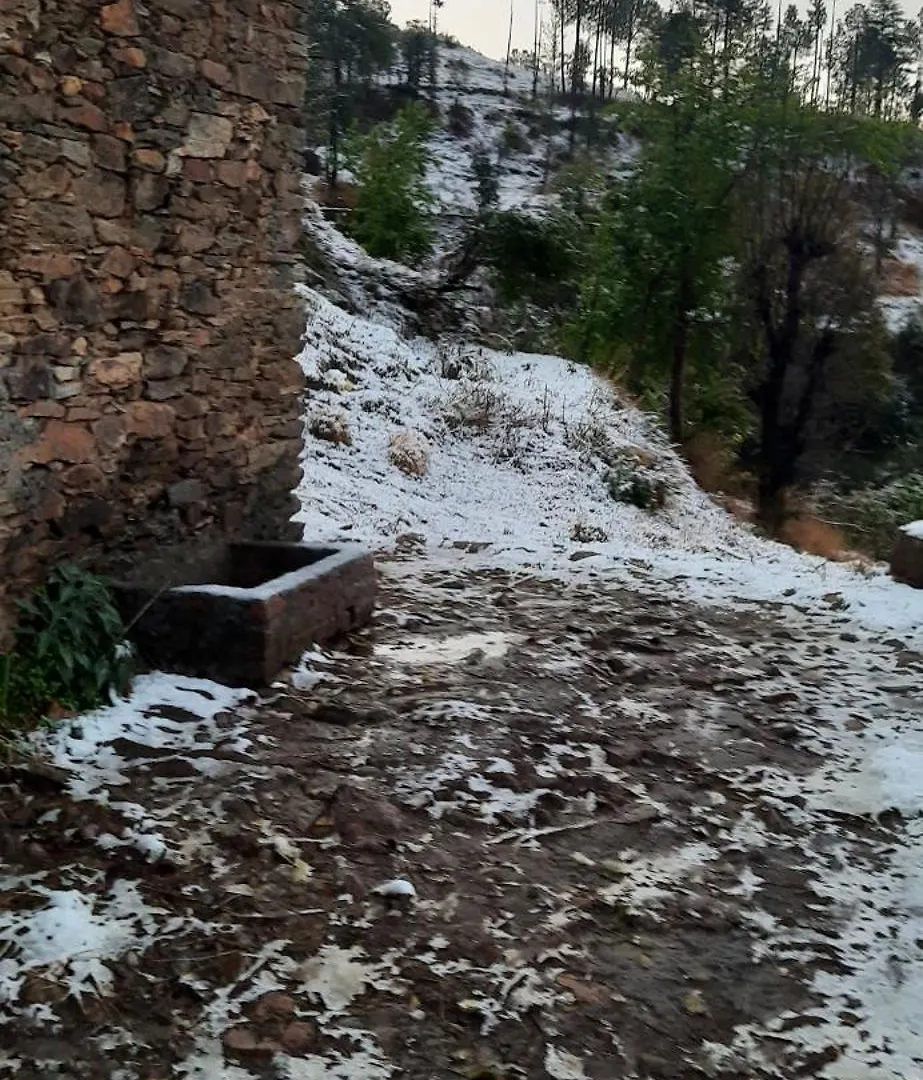 Sejal Homestay Shimla 0*,