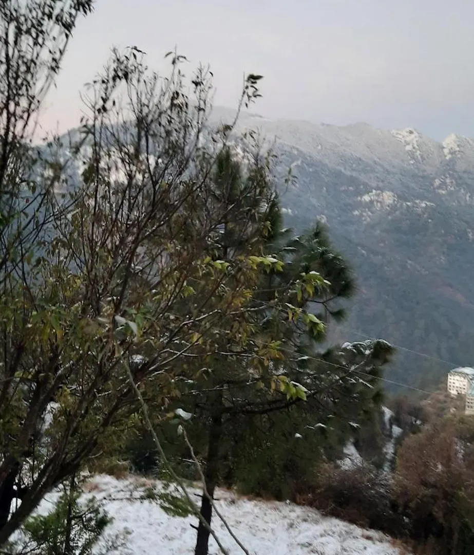 Sejal Homestay Shimla