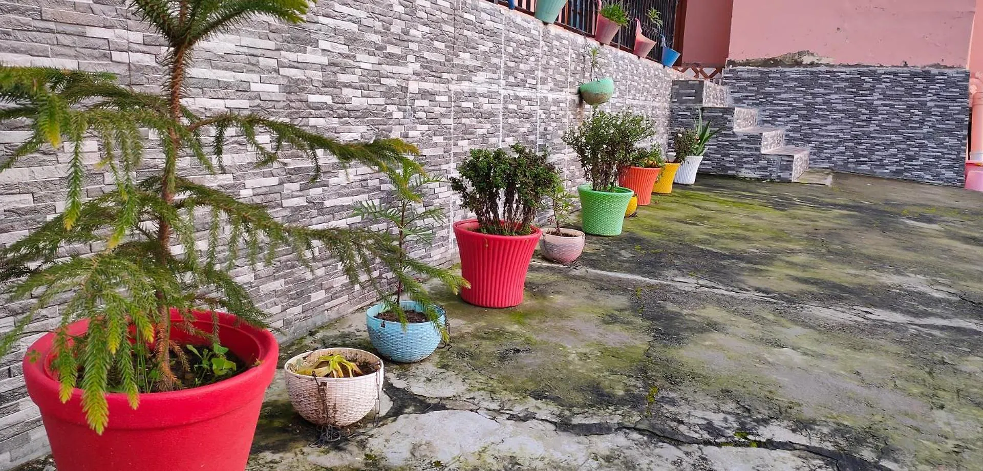 Sejal Homestay Shimla