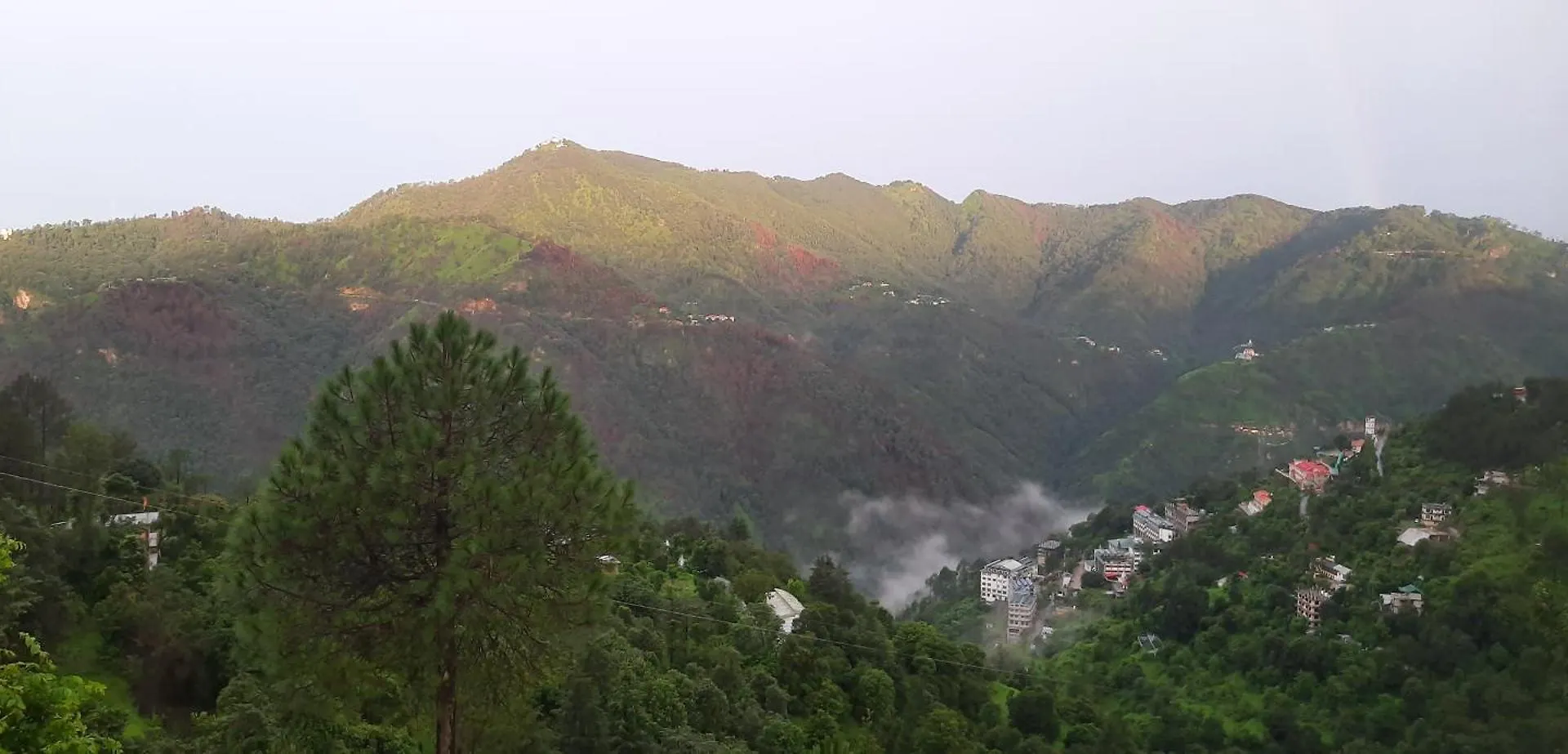 Sejal Homestay Shimla